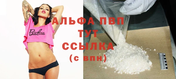 стафф Надым