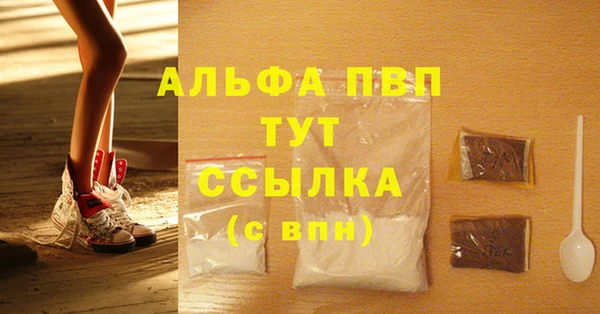 стафф Надым