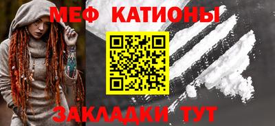индика Гатчина