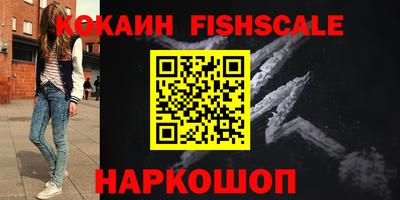 индика Гатчина