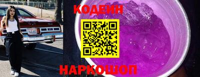 индика Гатчина