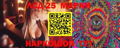 индика Гатчина