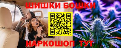 индика Гатчина