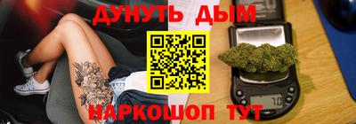 индика Гатчина