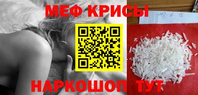 индика Гатчина