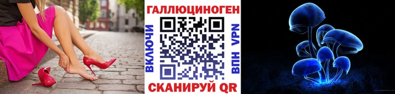 Псилоцибиновые грибы Psilocybe  купить наркотик  Назрань 