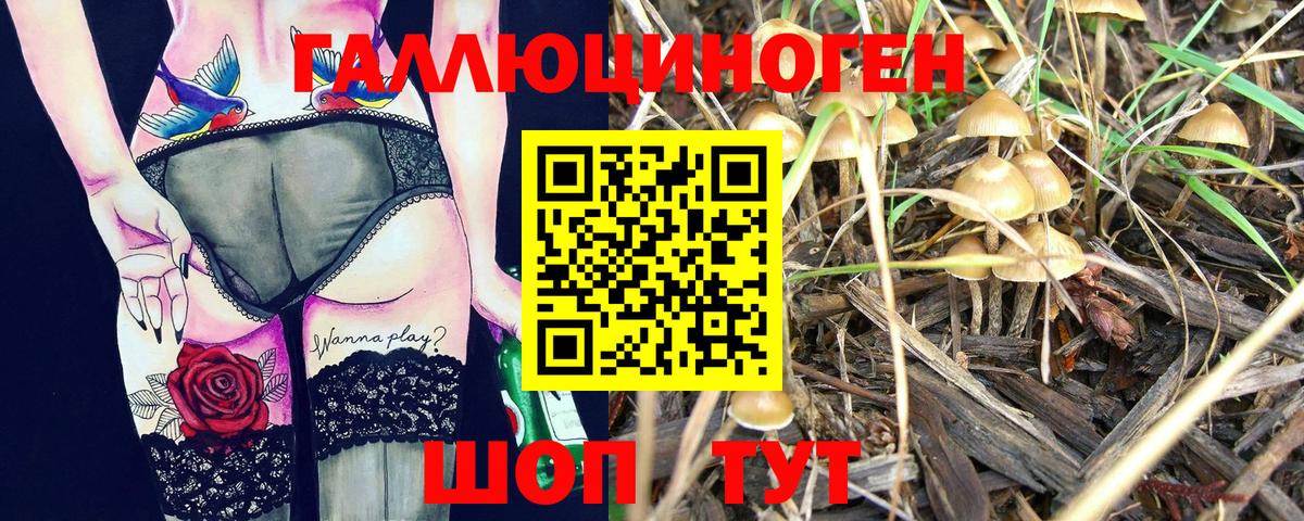 цены   Псилоцибиновые грибы прущие грибы  Вход с VPN  Назрань  Галлюциногенные грибы мухоморы 