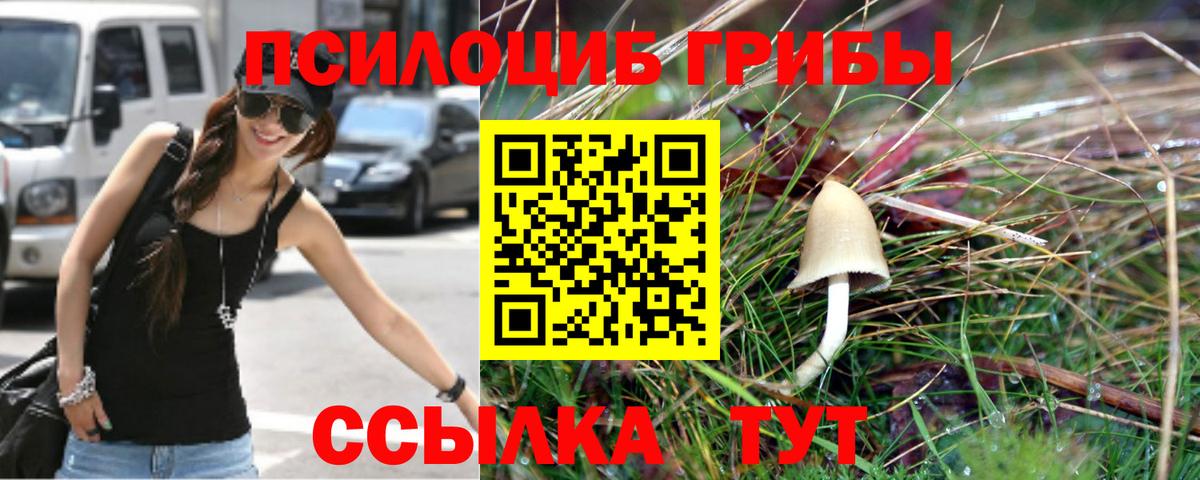Галлюциногенные грибы Magic Shrooms  где можно купить   Назрань 